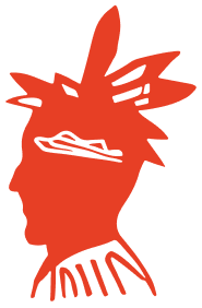 Casino Bruno Avis License